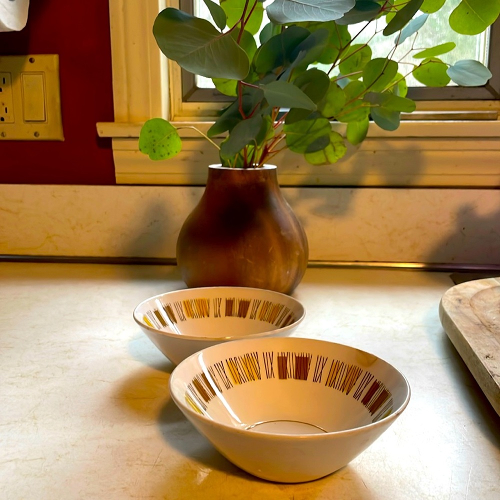 Mikasa cerastone bowls